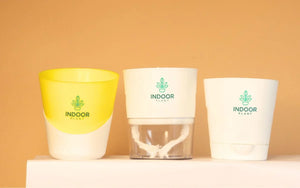 Pot & Planters