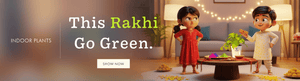 Rakhi Special