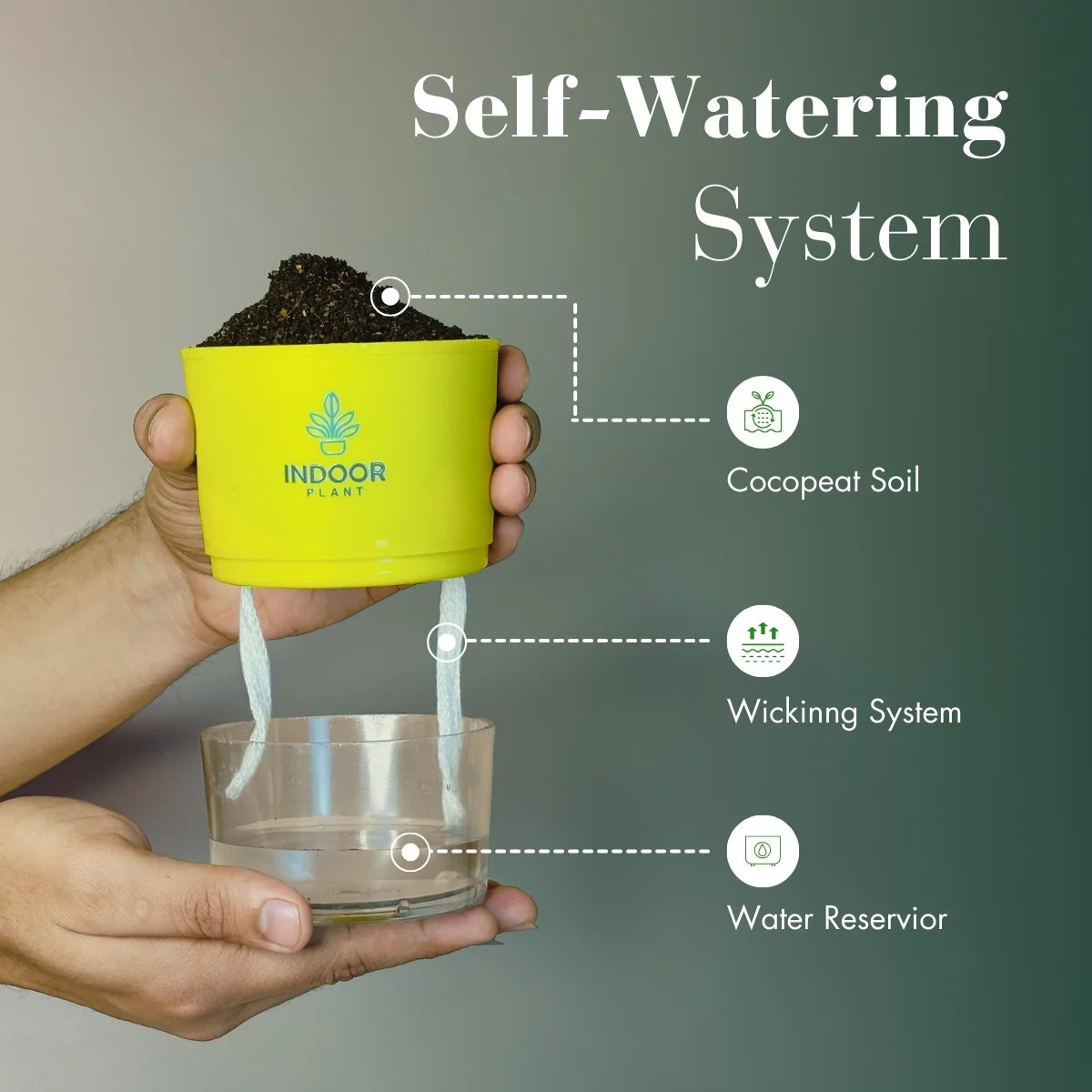 Bamboo Palm Plant Self Watering Pot