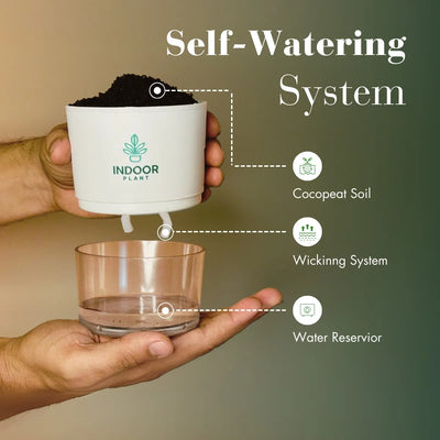 Table Kamini Plant With Self Watering Pot